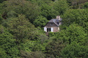 Enlèvement arbre urgence Sainte-Suzanne